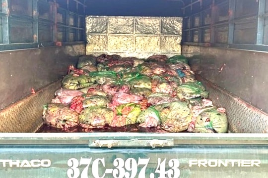 Phát hiện 1,3 tấn nội tạng bẩn