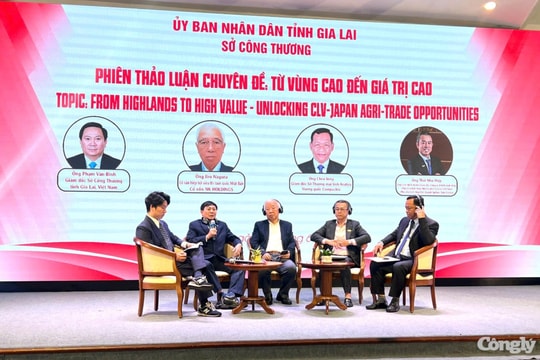 Gia Lai phấn đấu đạt 900 triệu USD kim ngạch xuất khẩu trong năm 2025