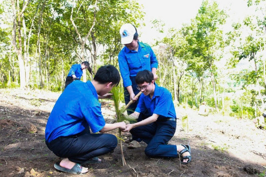 Kon Tum phát động “Tết trồng cây đời đời nhớ ơn Bác Hồ”