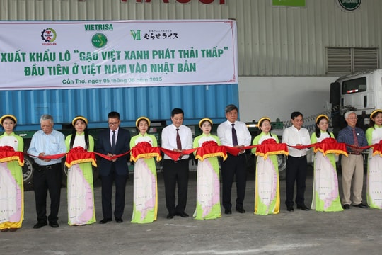 Việt Nam lần đầu xuất khẩu gạo phát thải thấp sang Nhật Bản: Bước tiến quan trọng hướng tới nông nghiệp bền vững