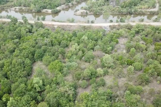 Vì sao UBND TP. Phú Mỹ không thực hiện bản án đã có hiệu lực?