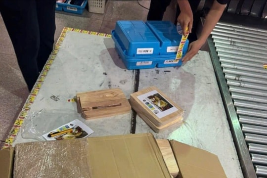 Hải quan triệt phá liên tiếp các vụ buôn lậu, vận chuyển ma túy lớn