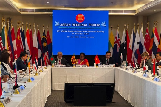 Việt Nam đồng chủ trì cuộc họp Nhóm giữa kỳ ARF về cứu trợ thảm họa