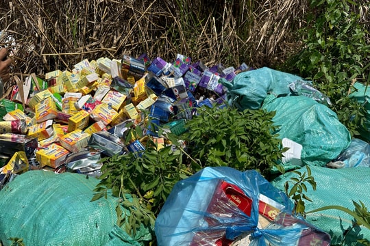 TP.HCM phạt hàng chục cơ sở vi phạm trong lĩnh vực y tế