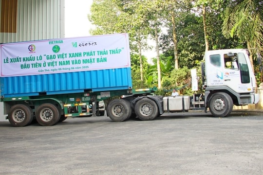 Gạo xanh Việt Nam mở cửa thị trường Nhật Bản