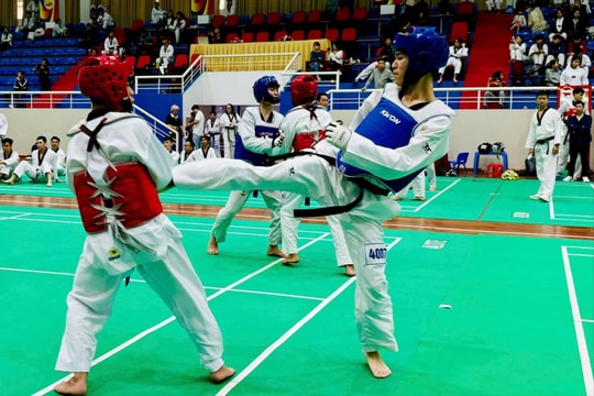 Festival Taekwondo Hà Nội mở rộng có hơn 1000 võ sĩ tranh tài