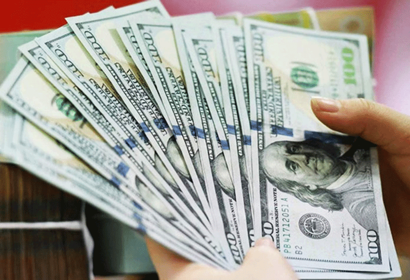Tỷ giá USD ngày 8/6: Một tuần đầy biến động với đồng Đô la Mỹ
