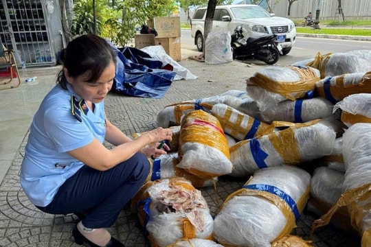 Tạm giữ 700 kg mực khô mốc, bốc mùi