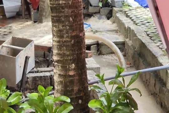 Temple Resort Danang bị phạt hơn 220 triệu đồng vì gây ô nhiễm