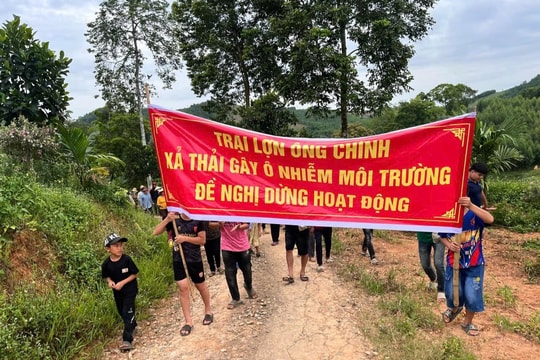 Trang trại lợn gây ô nhiễm khiến người dân ăn ngủ không yên