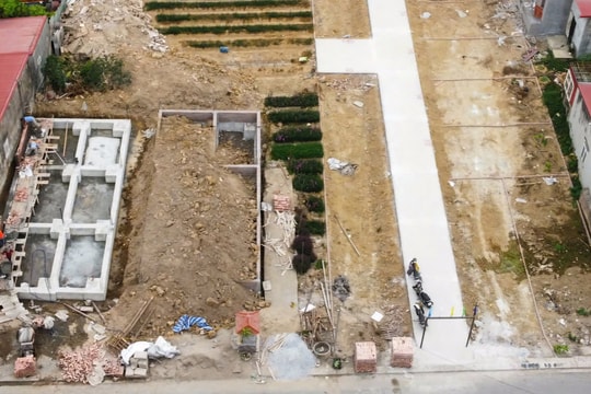 Hải Phòng 'tạm dừng' chuyển mục đích sử dụng đất sang đất ở hộ gia đình, cá nhân