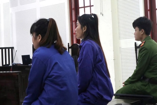 Radio pháp đình: Ba cuộc hôn nhân cưỡng ép và hành trình đầy nước mắt