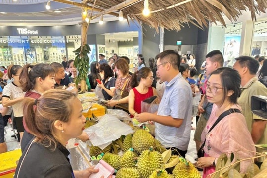Sầu riêng Cần Thơ lần đầu có mặt tại Hải Phòng
