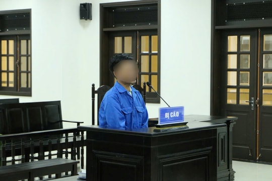 Lợi dụng tín nhiệm để lừa đảo chiếm đoạt hơn 1 tỷ đồng