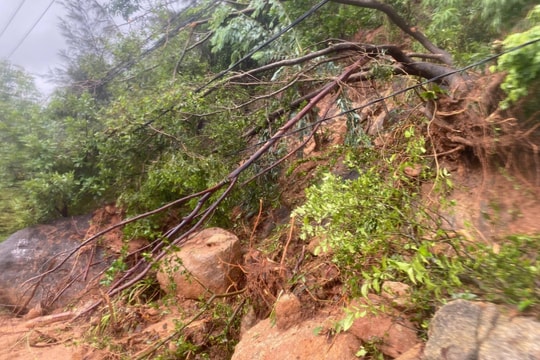 Sơn Trà tạm ngưng đón khách sau sạt lở do mưa lớn
