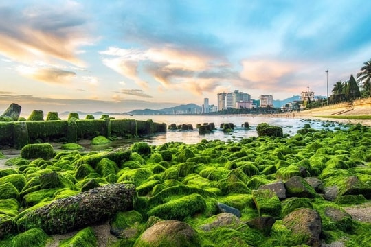 Nha Trang dẫn đầu danh sách điểm đến được du khách Hàn Quốc tìm kiếm nhiều nhất