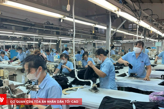 Cải cách tín dụng – bước đi chiến lược để nâng tầm khu vực tư nhân