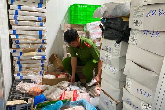 Công an TP.HCM phát hiện, tạm giữ  hàng chục tấn thịt, nội tạng động vật không rõ nguồn gốc