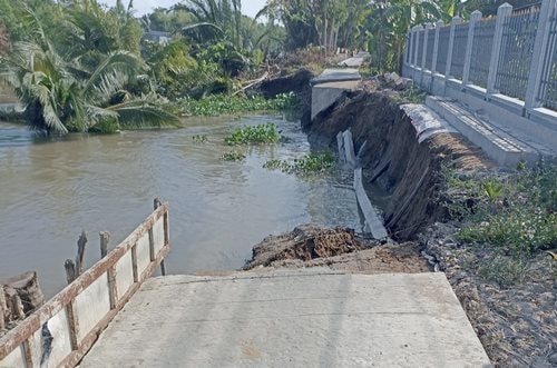 Hậu Giang: Báo động sạt lở khu vực gần sông Hậu