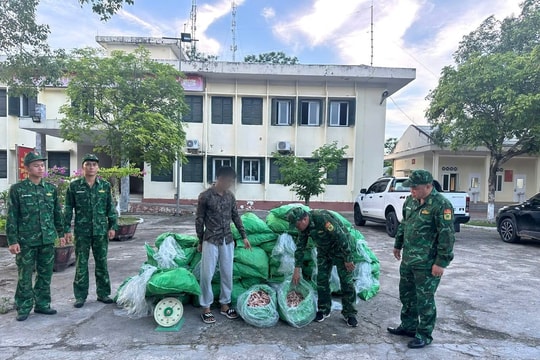 Bắt giữ lượng lớn chân gà đông lạnh không rõ nguồn gốc