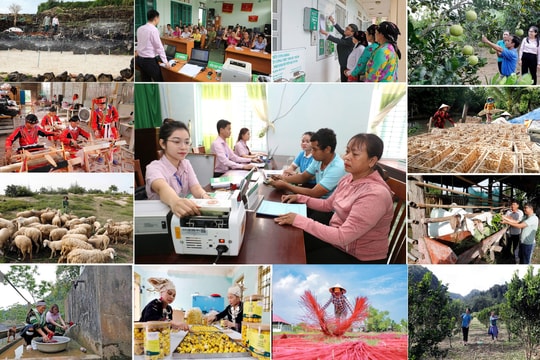 Xây dựng Đảng bộ Ngân hàng Chính sách xã hội Trung ương vững mạnh toàn diện, đồng hành cùng đất nước