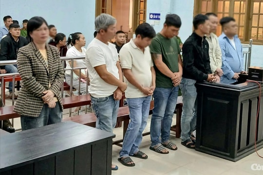 Nổ 'bảo kê' xe quá khổ, quá tải để lừa đảo hàng trăm triệu đồng của 18 bị hại