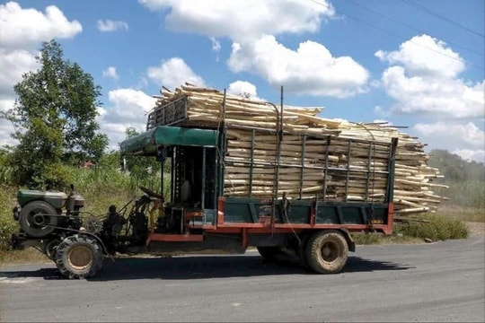 Xe máy cày - Hiểm họa chực chờ trên những cung đường