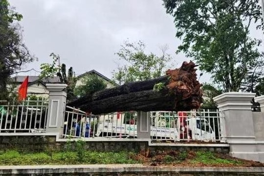 Lâm Đồng triển khai các biện pháp cấp bách ứng phó mưa lũ và sạt lở đất