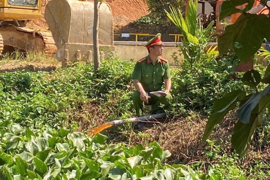 Cần tăng chế tài xử lý đối với trang trại lợn gây ô nhiễm