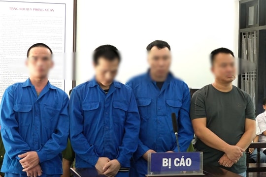 Lĩnh án vì chở người nhập cảnh trái phép