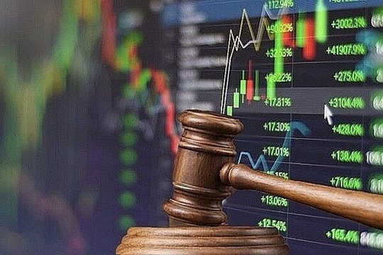 Areca Việt Nam bị phạt 80 triệu đồng vì vi phạm quy định giao dịch chứng khoán