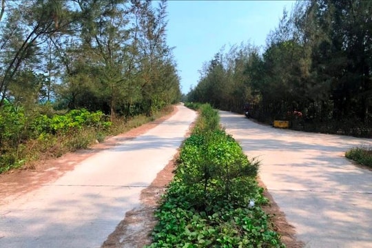 Hai Giám đốc doanh nghiệp bị khởi tố