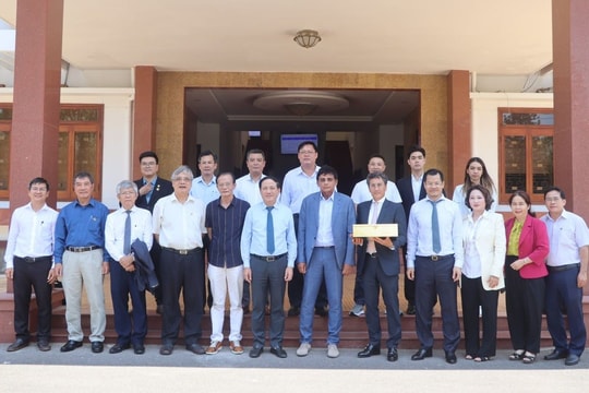 Bình Định làm việc với nhà đầu tư về dự án khu nghỉ dưỡng cao cấp và siêu du thuyền