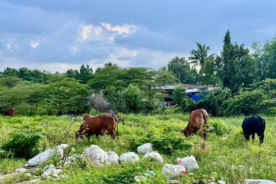 Một đoạn Vành đai 2 TP.HCM đứng trước cơ hội “hồi sinh”