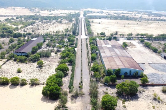 Bình Định: Hơn 400ha 'đất vàng' ven biển bỏ hoang suốt 18 năm