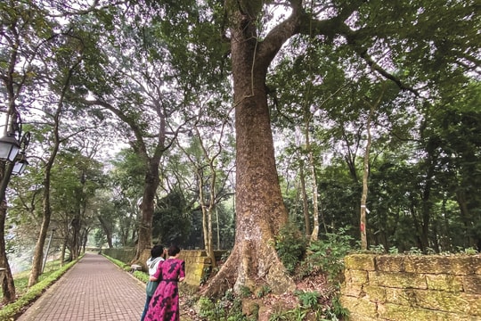 Gửi trọn niềm tin vào công lý