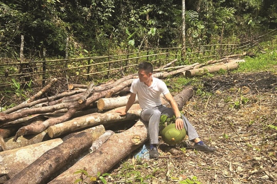 Phóng viên đi rừng