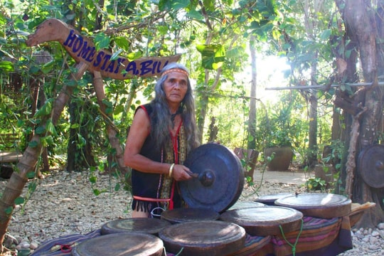 Những cánh chim không mỏi