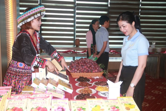 Hợp lực Sơn La – Đà Nẵng, thúc đẩy du lịch xanh và bền vững