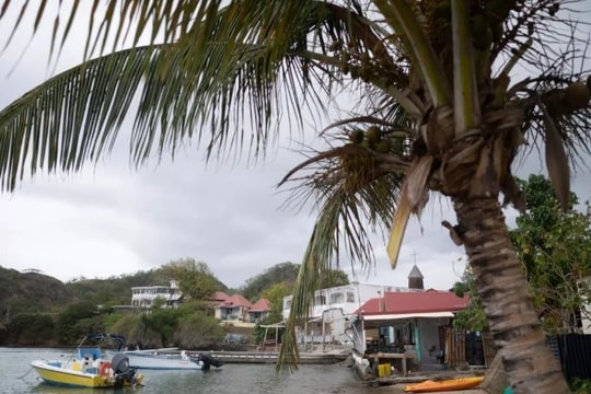 Người phụ nữ mang nhóm máu "độc nhất vô nhị" trên thế giới