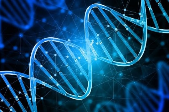 Đã có thuốc kéo dài tuổi thọ của con người?