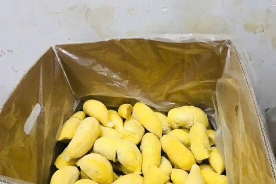 Xuất khẩu lô sầu riêng cấp đông đầu tiên qua cửa khẩu quốc tế Thanh Thủy