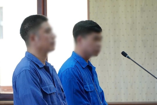 Làm giả hồ sơ đất đai, chiếm đoạt hơn 181 tỷ đồng