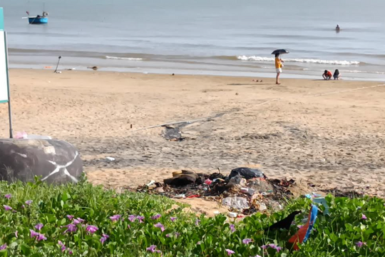 Vẻ đẹp Thiên Cầm đang bị rác thải bủa vây