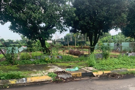 Thủ Đức, TP HCM: Doanh nghiệp đề nghị làm rõ dấu hiệu chồng lấn dự án ở phường Tam Bình