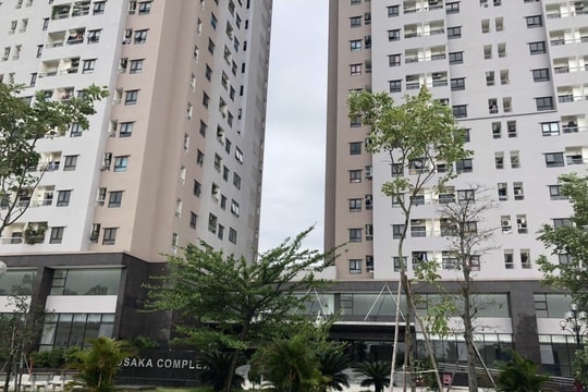 Cư dân lĩnh án vì đánh người trong lúc khắc phục bão Yagi