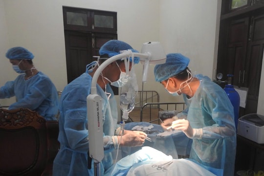 Cấp cứu kịp thời ngư dân bị cá kìm đâm vào cổ