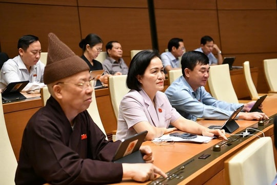 Chính phủ được ban hành Nghị quyết để sửa luật