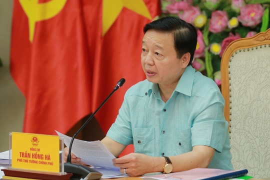 Vinafood 1 cần khẳng định vai trò doanh nghiệp lương thực nòng cốt