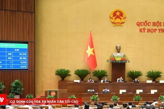 Tăng gấp đôi mức xử phạt vi phạm hành chính không cần lập biên bản